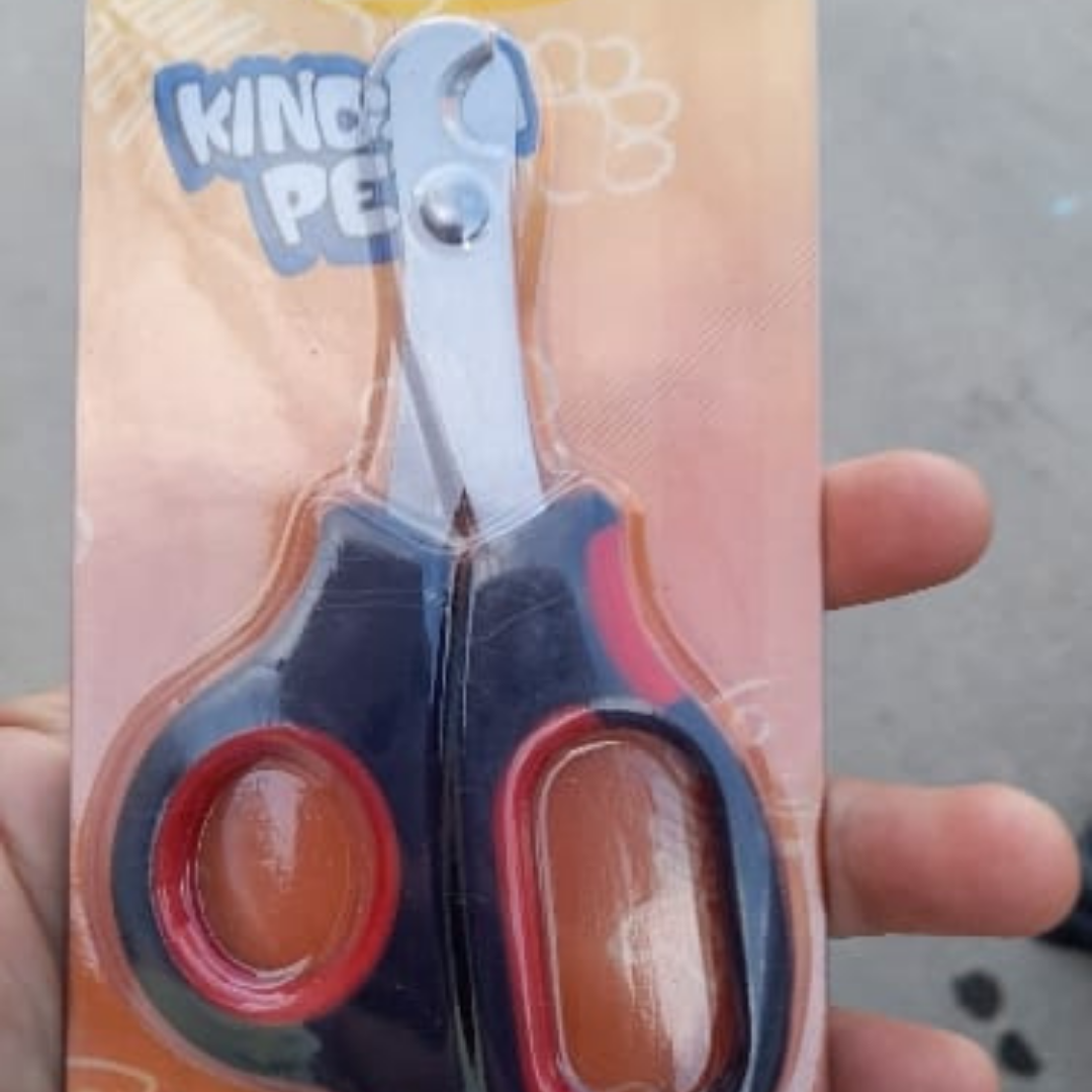 Champú para perro
